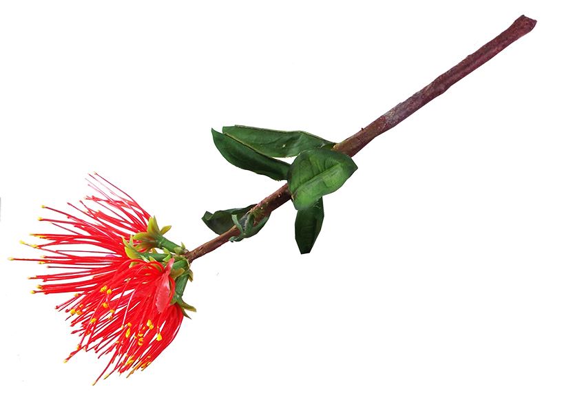 POH01: Large Artificial Pohutukawa Flower - POH01 artificial pohutukawa flower.jpg