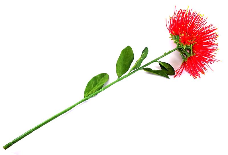 Large Pohutukawa Flower with long stem