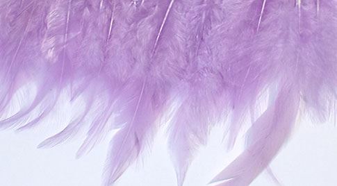 light purple hen.jpg