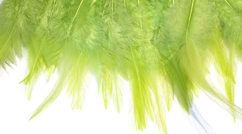 lime green hen.jpg