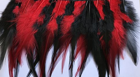 red and black hen.jpg