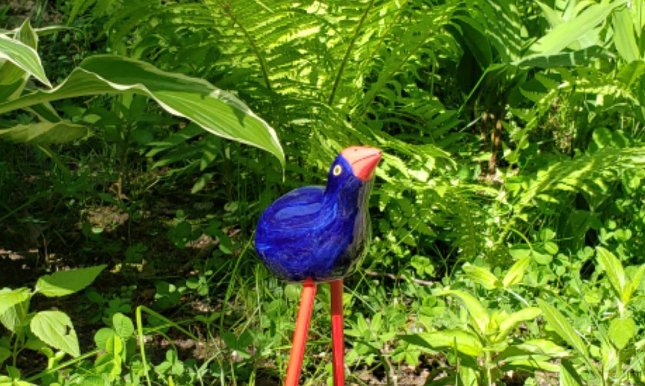 AD03 cust photo pukeko.jpg